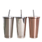 Hot Sale 500ml Thermo Double Wall Stainless Steel Tumbler Straw Cup