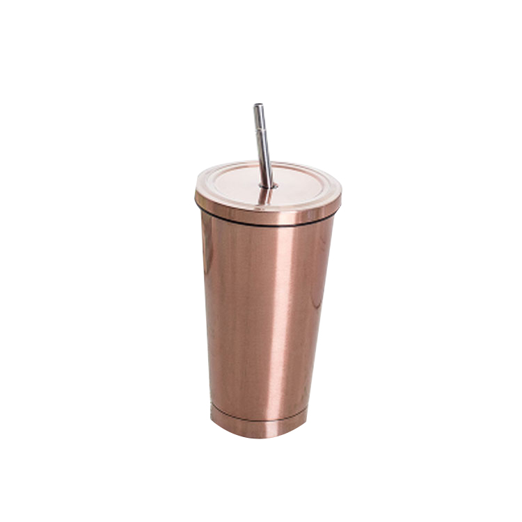 Hot Sale 500ml Thermo Double Wall Stainless Steel Tumbler Straw Cup